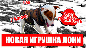 Маргарита \u0026 антистреси 11 минут 33 секунды. Estadisticas En Youtube Para El Video Loki Bobo Moya Pervaya Trenirovka Igrayu S Myachom Vlog 13 Seriya Noxinfluencer