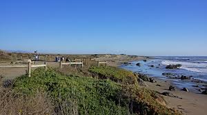 Maybe you would like to learn more about one of these? Sandee The World S First Beach Brand William Randolph Hearst Memorial Beach In San Simeon California United States Choose Your Beach