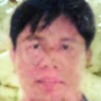 50+ "Pulido-jr" profiles