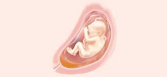 26 Ssw Symptome Schwangerschaft Entwicklung Pampers