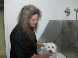 We constantly strive to provide better ingredients and better nutrition for better health, no matter what the cost! ask us about our barking parking services while in the obx. Holistic Pet Shop Home Facebook