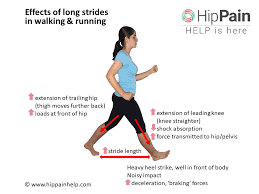 What causes knee pain after running beginner? 3 Simple Strategies To Reduce Hip Pain In Walking And Running