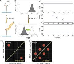 نتیجه جستجوی لغت [fret] در گوگل