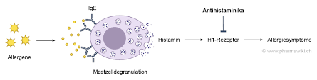 Pharmawiki Cetirizin