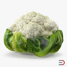 3d Cauliflower Model By 3d Molier International 3d Model Cauliflower Logo Inspiration Vintage