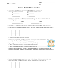 Must contain at least 4 different symbols; Worksheet Mendelian Patterns Of Inheritance