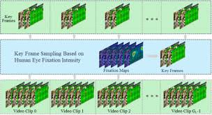 Image result for Visual Fixation