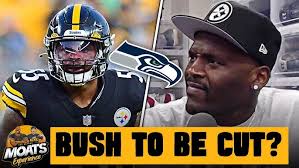 Seattle Seahawks Rumored To Cut Or Trade Former Steelers Devin Bush
