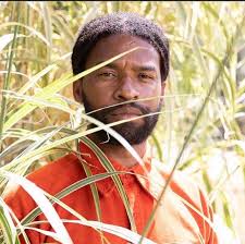 Staff & Board of Directors