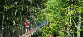 Fall Creek Falls Hiking | Tennessee State Parks