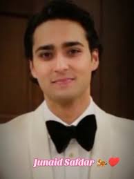 🐅🩹❤️ #fy #fyp #crew07 #junaidsafdar #maryamnawaz #nawazshareef #jsfa...