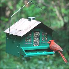 Caged Bird Feeders For Small Birds Uk Wild Bird Feeders Walmart Wild Bird Feeders Squirrel Proof Bird Feeders Bird Feeders