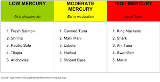 low mercury fish list the dr oz show