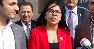 Biyografisi, hayatı, özgeçmişi, doğum yeri, doğum tarihi, fotoğrafı kaç yaşında, memleketi ve nereli olduğu? Chp Li Sera Kadigil E 7 Yil Hapis Istemi Sera Kadigil Kimdir