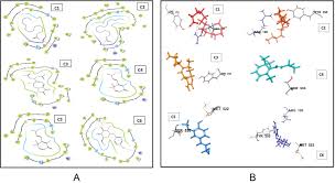 Image result for Struchium