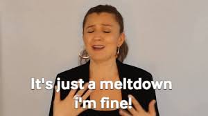 Relevant newest # meme # this is fine # everything is fine # its fine # everythings fine Via Giphy Giphy Meltdowns Funny Gif