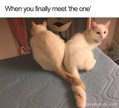 See hot celebrity videos, e! 50 Wholesome Relationship Memes To Show To Your Partner Bored Panda