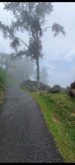 It is approximately 1250 m above sea level. Bukit Larut Maxwell Hill Taiping Perak Malaysia Beautiful Places Taiping Country Roads