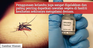Jalan sultan alam shah 42700 banting selangor. Lima Kes Jangkitan Malaria Manusia Dikesan Di Terengganu