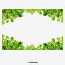 Leaf Frame Up And Down Green Up Down Green Clipart Leaves Clipart Border Clipart Page Borders Jungle Flower Border Trop Leaf Border Leaf Clipart Jungle Flowers