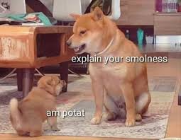 If the interviewer didn't hire him, his life would have ended… 30 Clean Animal Memes Of 2020 To Make You Laugh