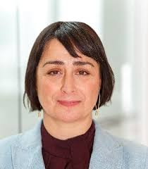 BSA Bourdieu Study Group Mid Term International Conference Rising  Complexities in Education: Opportunities and Inequalities