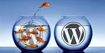 Как перенести сайт на WordPress на другой хостинг [Cо сменой домена или без]