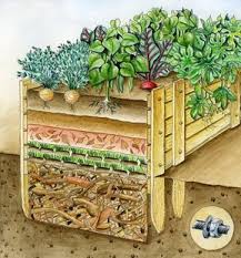 I'm a huge fan of the birdies raised beds that we sell here on the site. Verschiedenen Schichten Hochbeet Gefullt Wichtig Gefllt Vier Sind Ein Ist Mit Vegetable Garden Raised Beds Raised Garden Beds Diy Diy Raised Garden