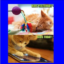 Do you think cat memes will continue. Cat Memes Clean For Kids 6 King Tumblr