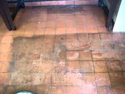 Terracotta Floor Tile Cleaning Youtube Clean Tile Terracotta Floor Tile Floor