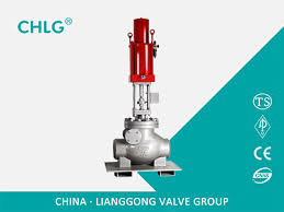 Check valve - LIANGGU VALVE GROUP CO., LTD