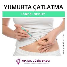 Yumurta Catlatma Ignesi Asilama Yada Tup Bebek Planladigimiz Ciftlerde Yumurta Belli Bir Boyuta Geldiginde Yapilmasini Istedigimiz Ilaclar Kadin Saglik Cift