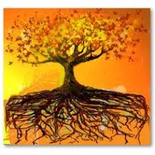Merely planting this tree without any guidance can later lead to buckling pavement on driveways, streets, curbs, and damaged underground utilities and drains. 46 Roots Ideas Roots Root System Root