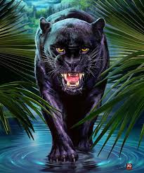 Hoodie blanket oversized phoebetai blanket blanket hoodie fire blanket electric blanket faux fur throw blanket luxury pink panther black panther edge control. The Black Panther G2412 Korean Mink Blanket Is Part Of Our Jq Signature Collection Blankets Signature Collection K Black Panther Tattoo Animals Panther Tattoo