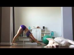 How To Do A Downward Facing Dog For Beginners Downward Facing Dog Youtube Ball Exercises