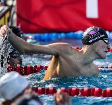 Image result for Sorindeia winkleri