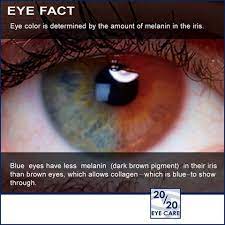 Did You Know You Can Change Your Eye Color Using Color Contacts Call Us At 516 747 1700 Or 718 476 2020 Or Visit Us O Change Your Eye Color Eye Facts Eye Care