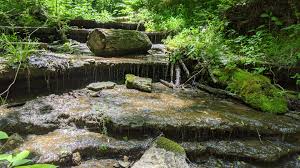 Versailles State Park : r/Indiana