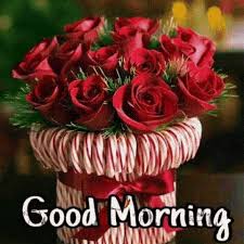 All animated good morning pictures are absolutely free and can be linked directly, downloaded or shared via ecard. Flowers Blooming Animated Good Morning Page 1 Line 17qq Com