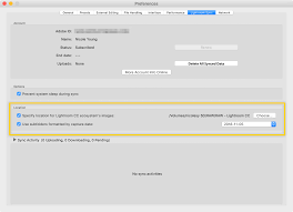 In this quick tip, you'll learn how to quickly copy and paste settings to multiple photographs. Traveling With The Ipad Pro And Lightroom Cc Nicolesy