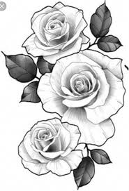 Samoan Tattoos Design Lion On Paper Samoantattoos Rose Drawing Tattoo Flower Tat Flower Tattoo Designs