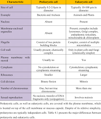 Thank you for helping build the. 1 Principal Differences Between Prokaryotic Cells And Eukaryotic Cells Download Table Prokaryotic Cell Eukaryotic Cell Study Biology