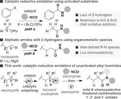 The phone isn't unlocked), or some other major issue. Nickel Catalyzed Reductive Amidation Of Unactivated Alkyl Bromides Serrano 2016 Angewandte Chemie International Edition Wiley Online Library