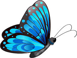Explore and download free hd png images, and transparent images Download Transparent Blue Butterfly Png Clipart Blue Butterfly Clipart Png Png Image With No Background Pngkey Com