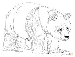 We did not find results for: Cute Baby Red Panda Coloring Pages Coloring And Drawing