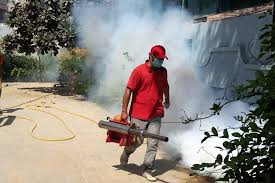 The climate in frisco texas, like many parts of texas, is in the. Pin On Pest Control Services Karachi Pakistan