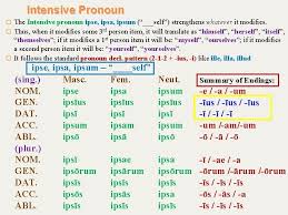Ipse, ipsa, ipsum (latin) by hi paws, released 04 april 2020 nominative: Pronouns And Unus Nauta Adjectives Week 5 Review