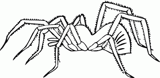 Printable spiderman coloring pages easy and fun 18. Free Printable Spider Coloring Pages For Kids Coloring Home