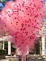 Confetti Cannon For Gender Reveals Miami Sparklers