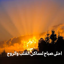 اجمل ماقيل عن الصباح , عبارات عن الصباح - دلع ورد